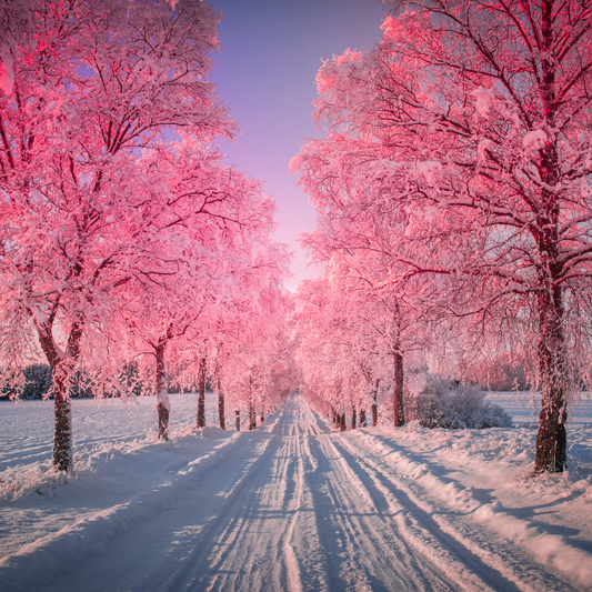 All the Good by Jessy Paulson