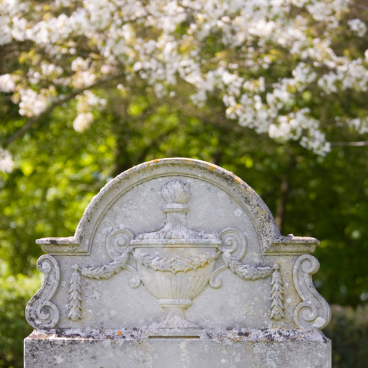 In the Forest of Granite by Melissa Godber