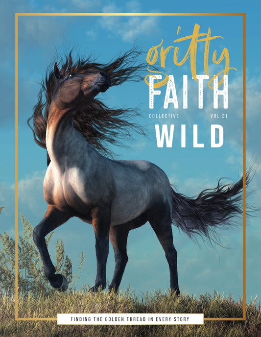 Gritty Faith: Wild! Releases December 1!
