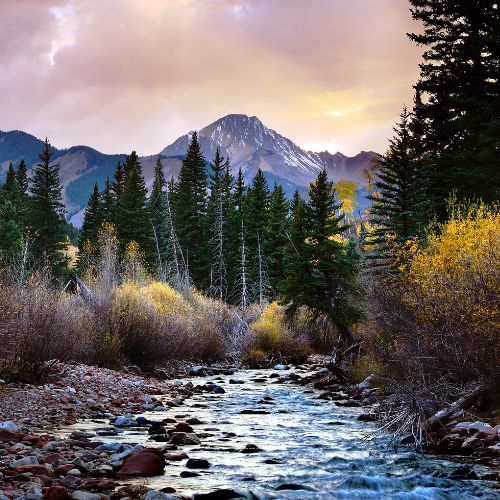 The Wilderness That Saved Me: How Solitude, Setbacks, and Surrender Grew My Faith