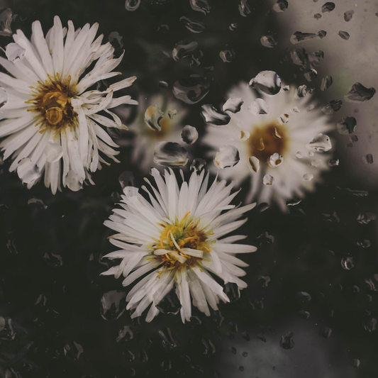 Sure Wish Life Had a Fast-Forward Button On It