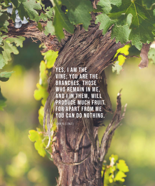 Spring Prayer by Tina Joy Cochran