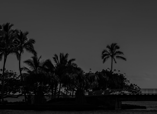 Slowing Down and Making Space for Rest: Winter